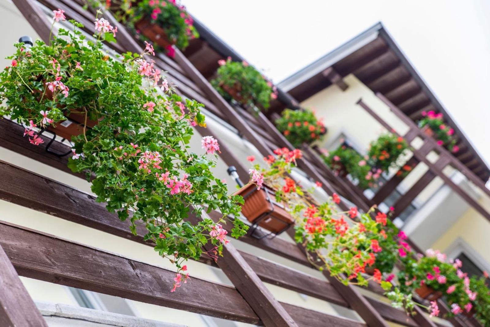 B&B Prato Solaro Taceno Exterior photo